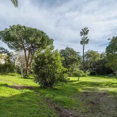 Sublime Fully Renovated One Bedroom With Sea View Cannes